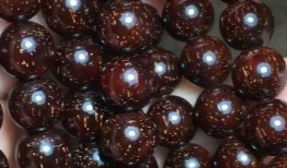 印度小叶紫檀最新爆料,最新爆料揭秘行业动向